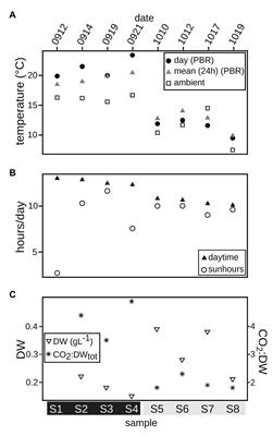 Temperature Stress Induces Shift From Co-Existence to Competition for Organic Carbon in Microalgae-Bacterial Photobioreactor Community – Enabling Continuous Production of Microalgal Biomass